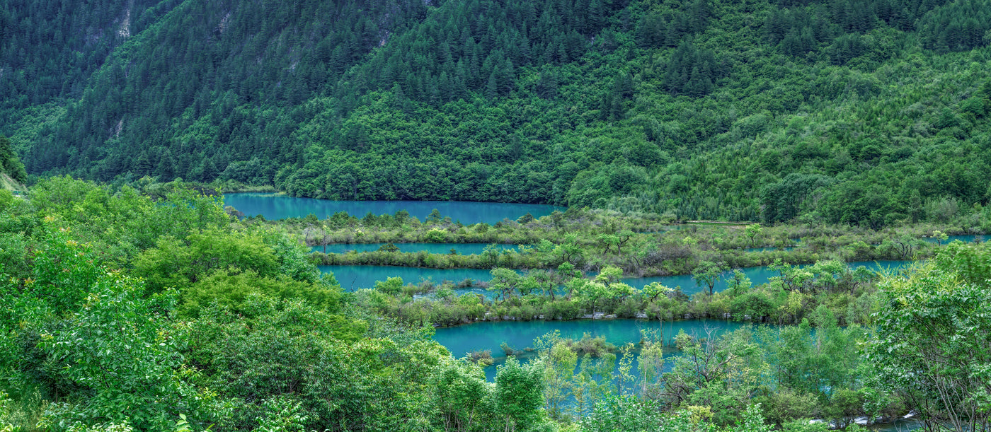 Turquoise lakes and mountain forest in Jiuzhaigou