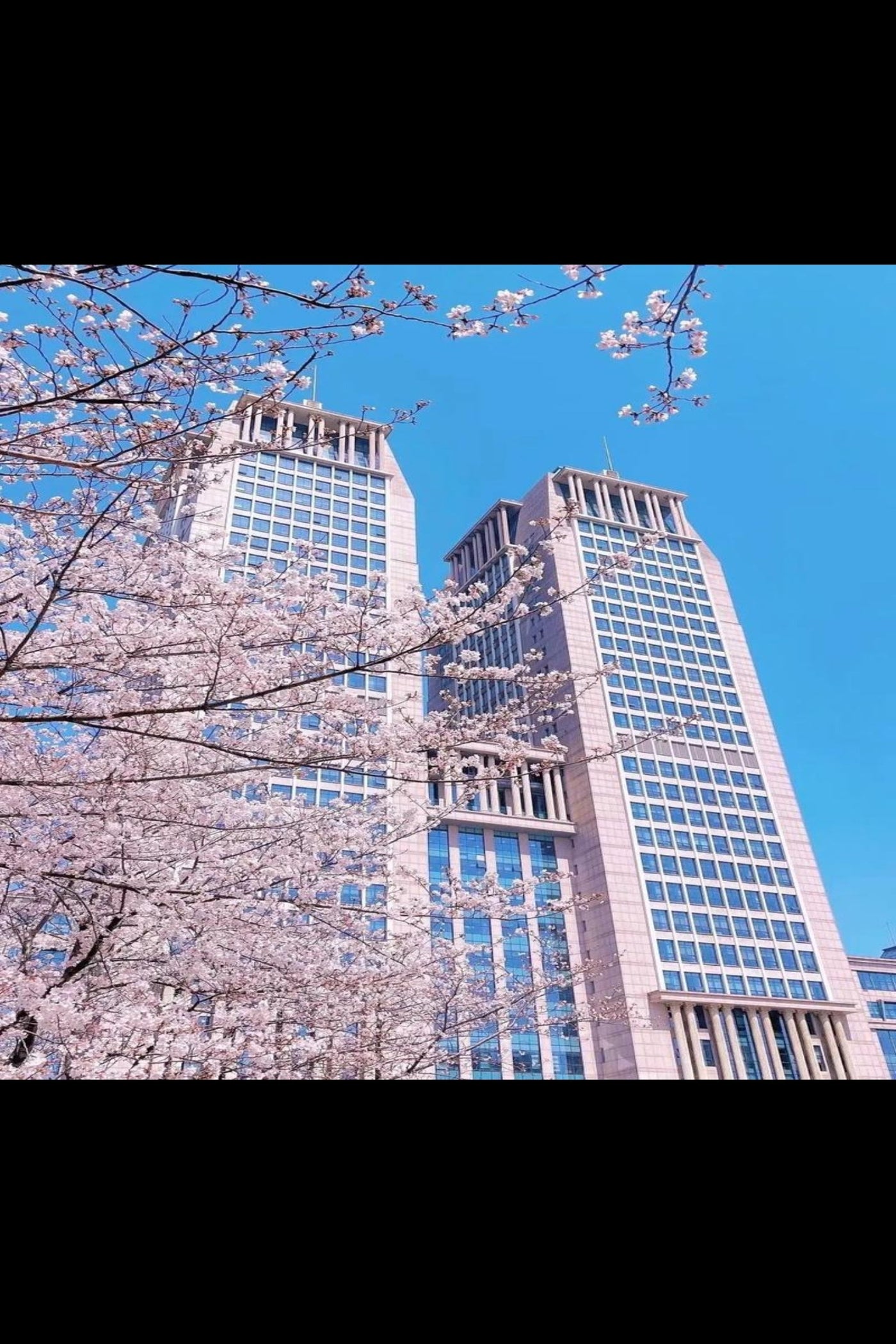 One Day at Fudan University