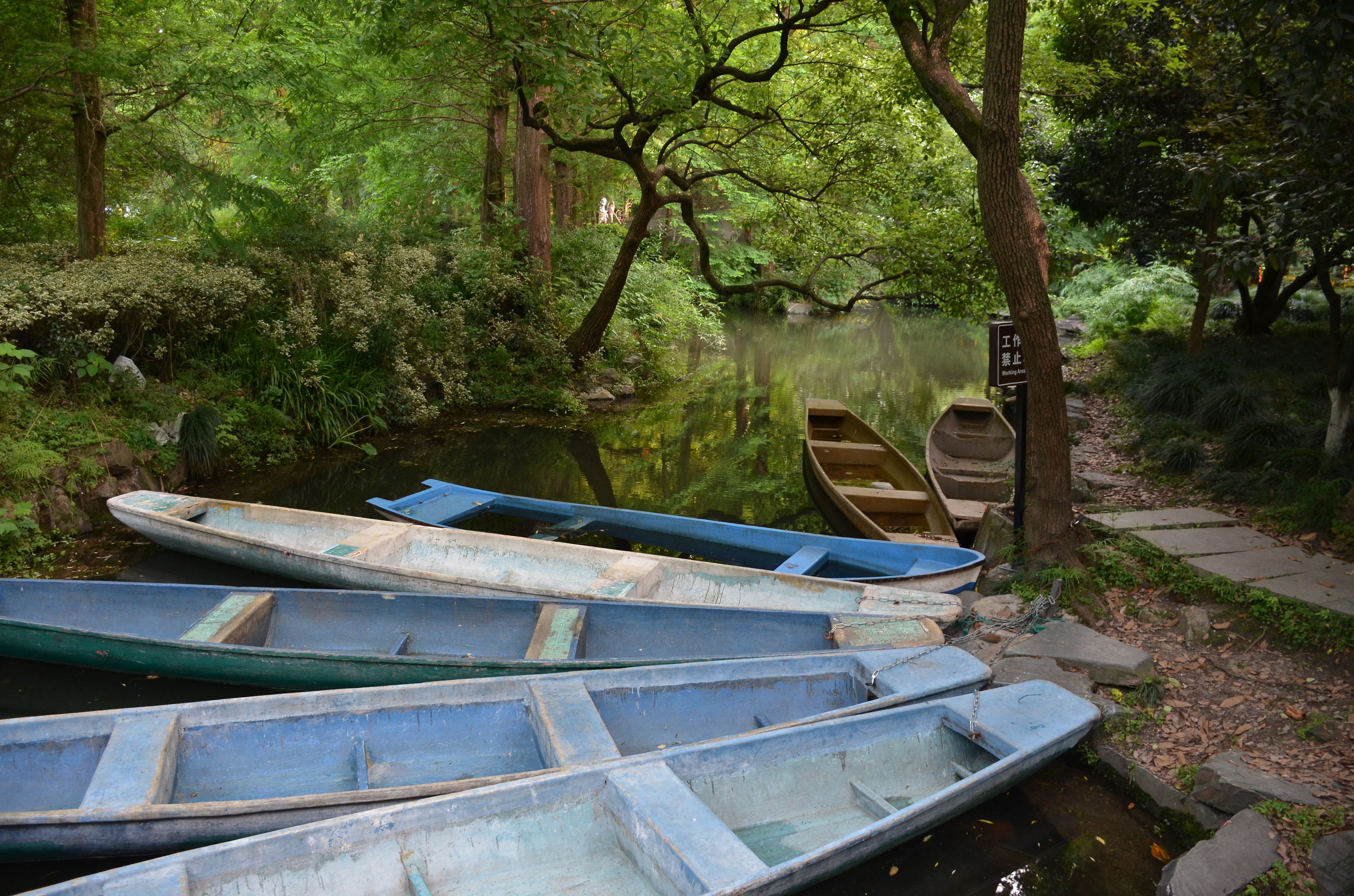 Small visitor boats moored beside a tree-lined Xixi wetland channel in Hangzhou
