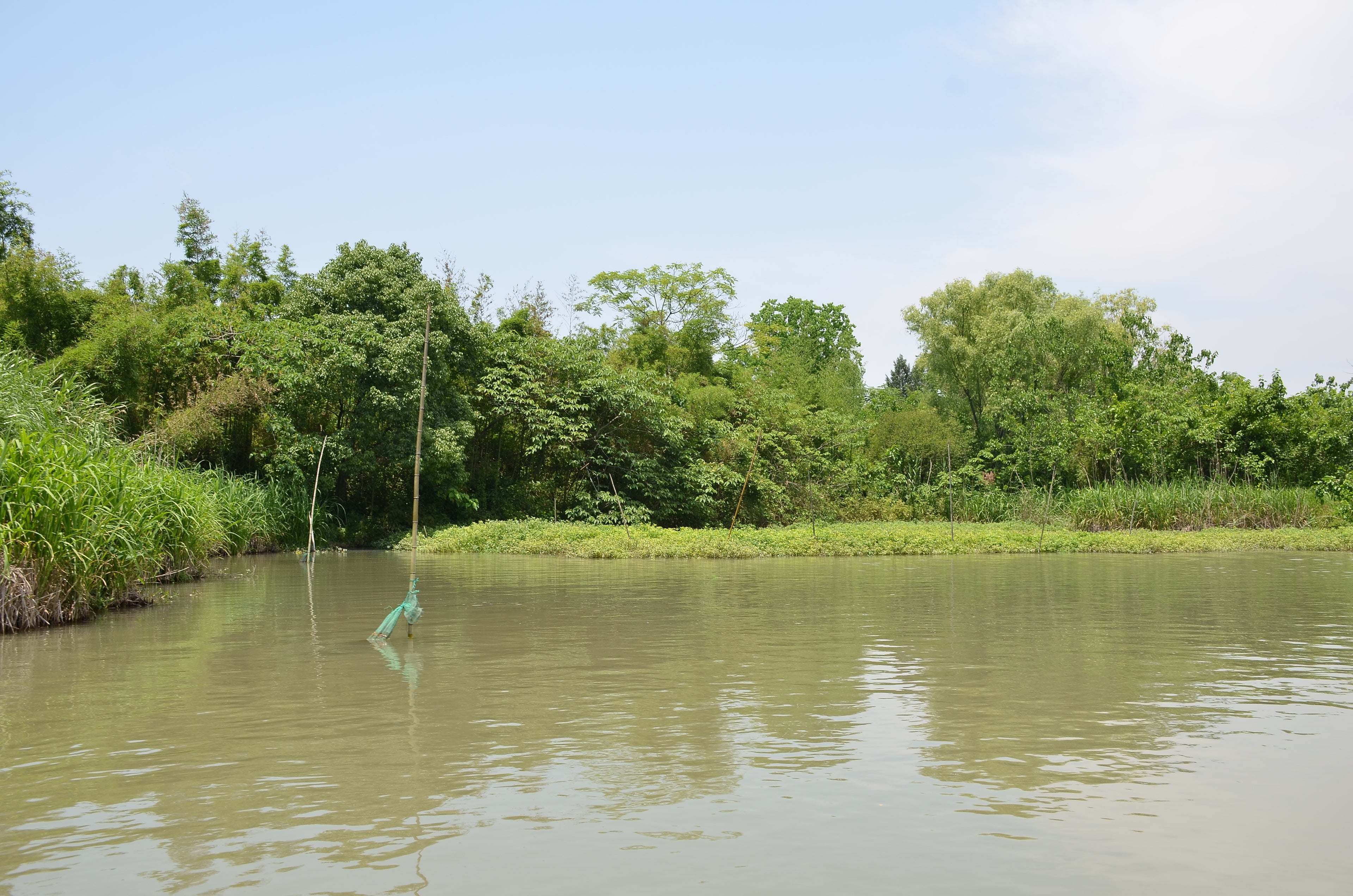 A fishing net and small wooded islet in the waterways of Xixi National Wetland Park