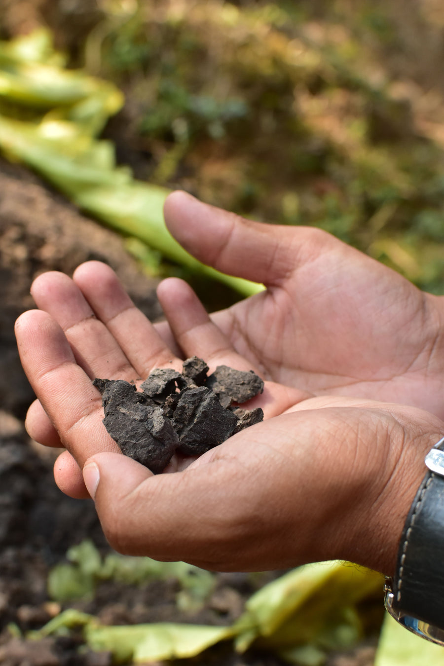 Hands holding small excavated metal fragments for archaeological examination.