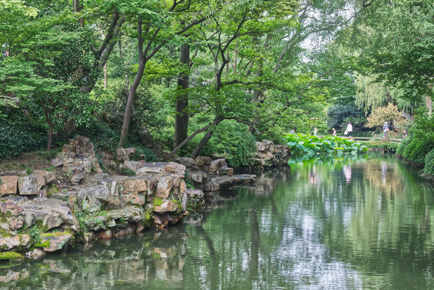 Rockery, pond, lotus and layered trees in a classical garden in Suzhou.