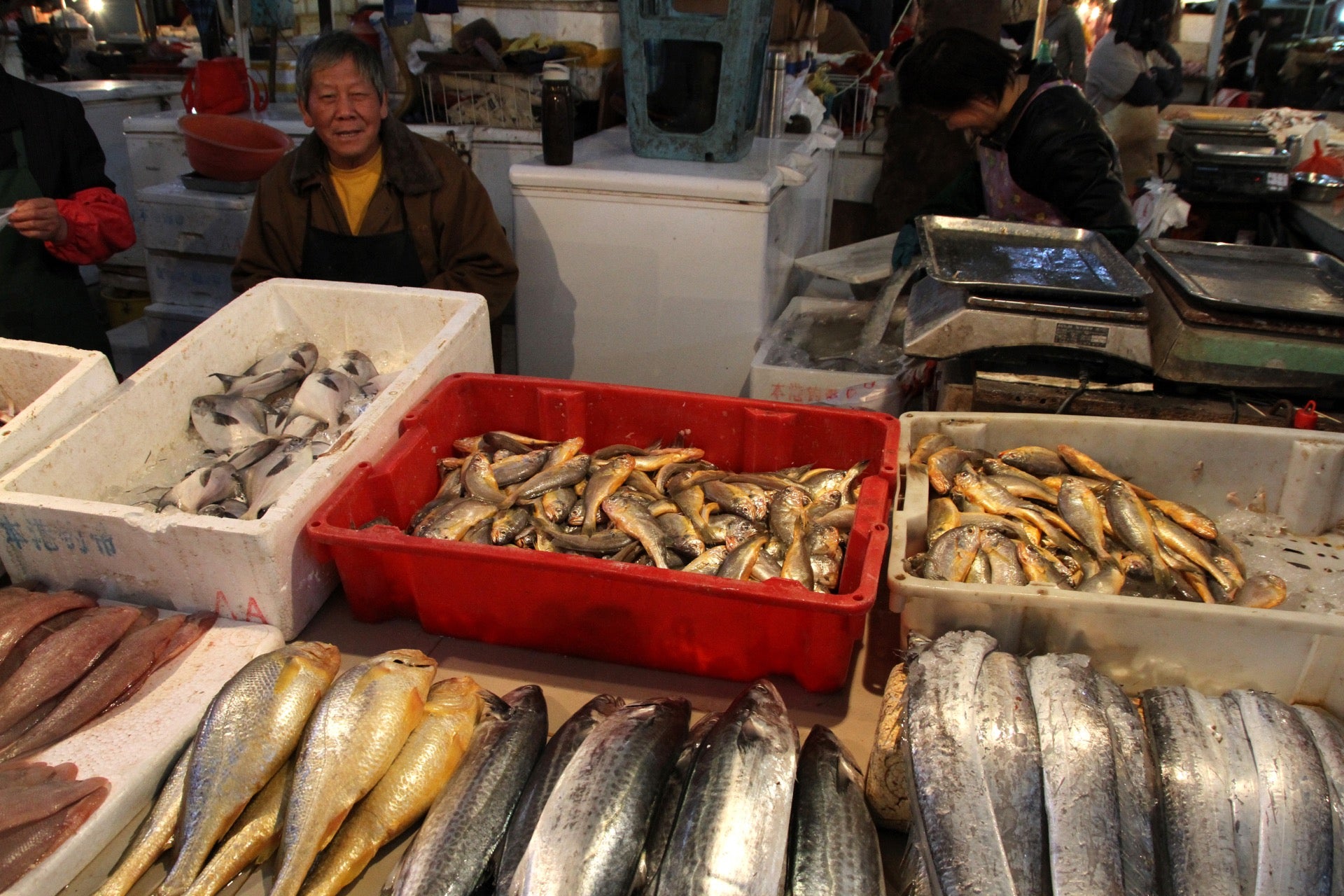 A fish seller at a real Shanghai wet market