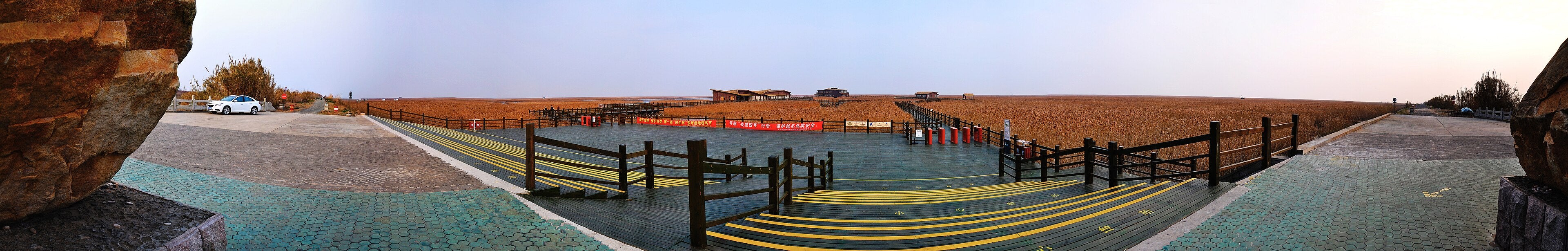 Wetland habitat at Dongtan on Chongming Island, Shanghai